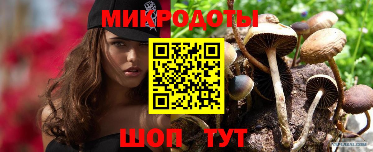 Галлюциногенные грибы Magic Shrooms  Вход с VPN  хочу   Псилоцибиновые грибы MAGIC MUSHROOMS  Дмитров 